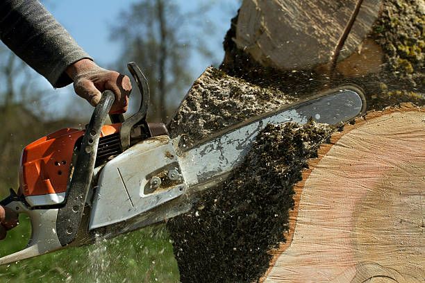 Best Soil Testing and Treatment  in Cherryvale, KS